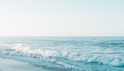 赤ちゃん（1歳未満）に蜂蜜は危険!?　