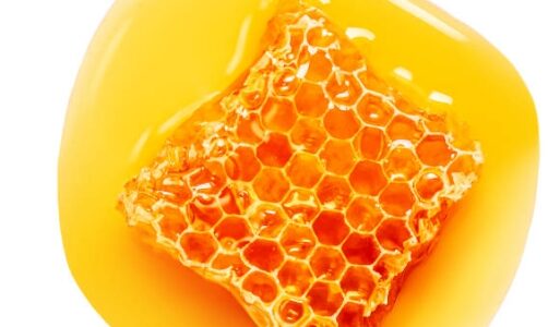 蜂蜜は腐らない!?