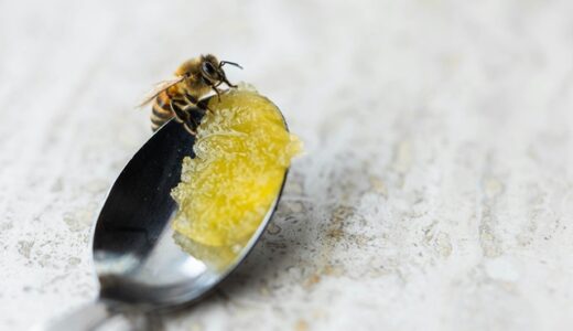 蜂蜜に発がん性!?安心安全ハチミツを選ぶ3つのポイント